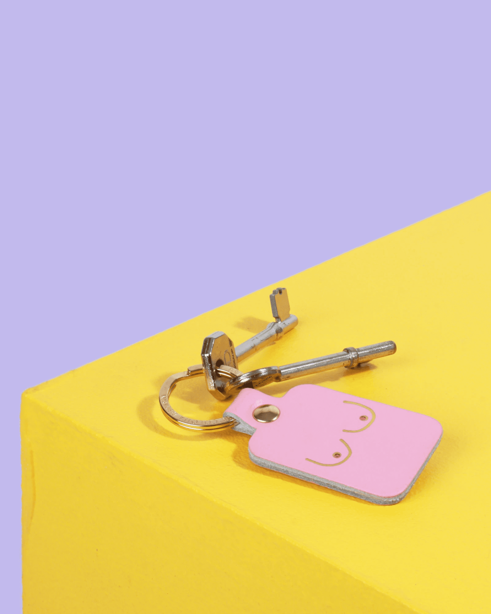 A silver keyring with a pink "Dick Key Ring" rests on the edge of a yellow surface against a purple background, highlighting the playful and bold design often featured in Estonian concept shops. Gate21.ee