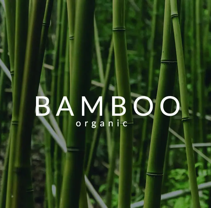 Several tall, green bamboo canes growing closely together with the words BAMBOO organic in white text overlaid on the image, making it perfect for a concept shop or gift shop seeking unique ideas. The background is slightly out of focus. Gate21.ee