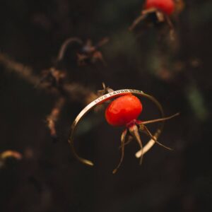 A gold bracelet named Live Laugh Love hangs from a rose hip stem against a dark, blurred background—a charming choice for anyone seeking unique Tallinn shopping ideas. Gate21.ee
