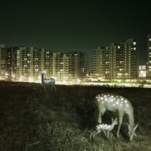 Two deer with glowing white spots, one grazing with a fawn and the other standing watch, are featured in "Double - Red" against brightly lit blocks of flats at night, evoking the feel of a curated shop&rsquo;s unique gift. Gate21.ee