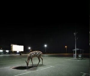 A deer stands in an empty car park at night, drinking from a water-filled pothole as several streetlights glow behind it. The scene, with an empty billboard in the background, reflects the unique charm of Dangle - Long - Grey. Gate21.ee
