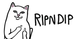 The Lord Nermal Pocket Tee - Black features a white cat flipping both middle fingers beside bold black &ldquo;RIPNDIP&rdquo; text, perfectly blending unique ideas with playful style. Gate21.ee