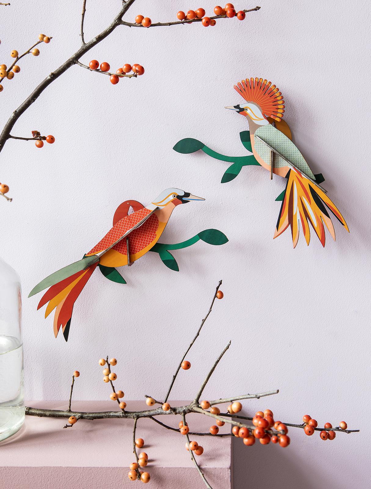 Two Paradise Bird Obi decorations with vibrant orange, yellow, and red feathers brighten a pale pink wall beside berry branches; a glass water jug rests below—fresh inspiration from an Estonian design gift shop. Gate21.ee