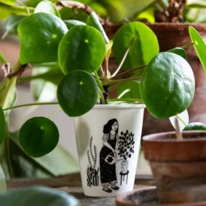 Plant Lover Cups: A small Pilea peperomioides in a white ceramic pot with Estonian design, featuring a black illustration of a woman tending plants—ideal for concept shop displays and curated plant collections. Gate21.ee