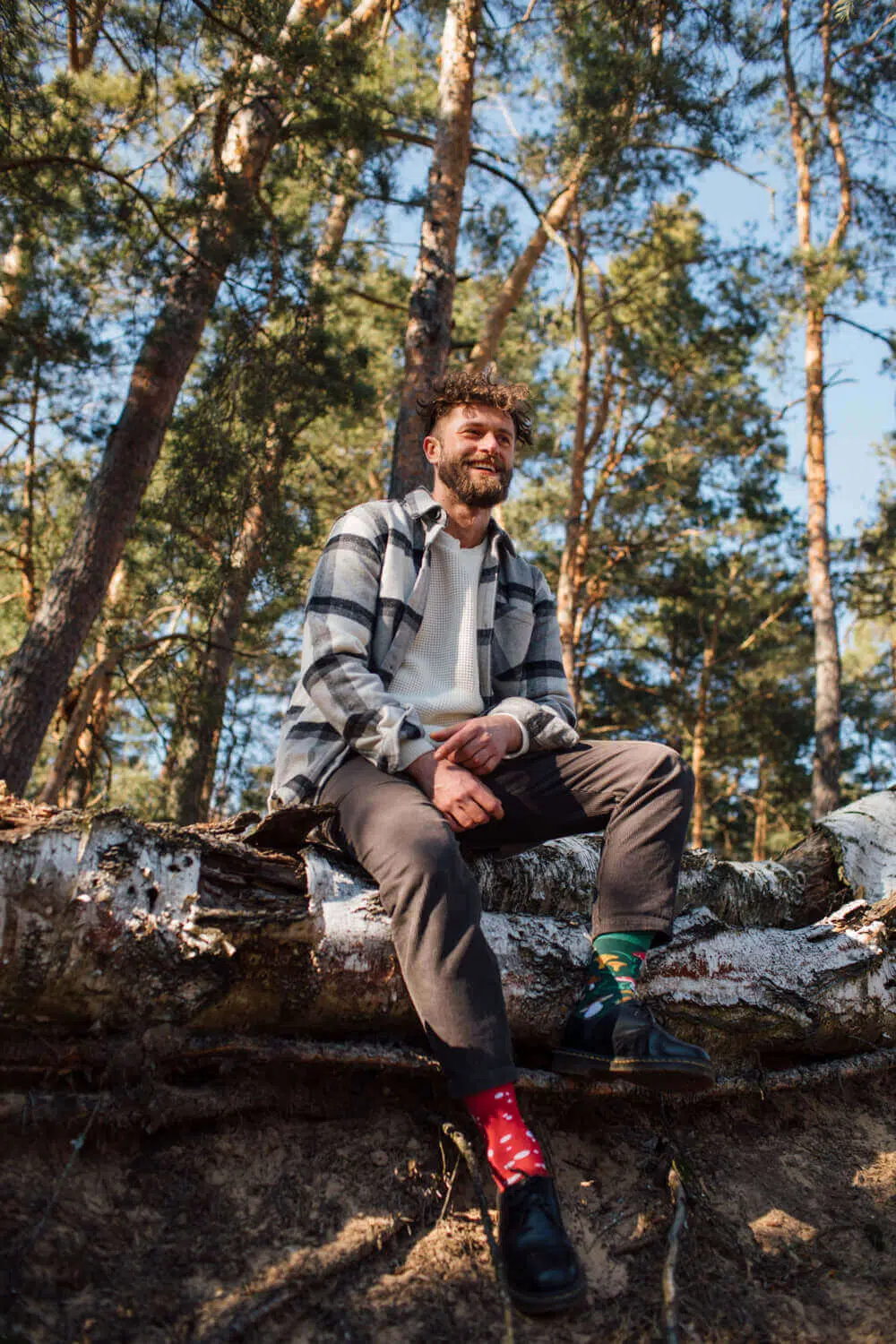 A man wearing Meet the Shrooms sits on a fallen tree amid tall forest trees and sunlight—his look inspired by curated, unique ideas. Gate21.ee