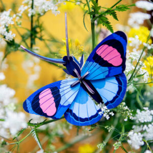 A Peacock Butterfly with pink and dark blue markings rests on delicate white and yellow flowers with green stems, set against a yellow background—capturing the charm of Estonian design as featured in Tallinn concept shops. Gate21.ee