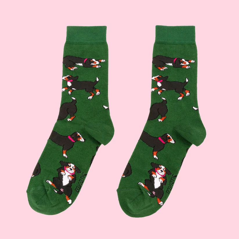 Bernese - Cotton Socks: Green socks with cartoon-style black, brown, and white dogs in pink collars, perfect for gifts. Displayed on a light pink background. Gate21.ee