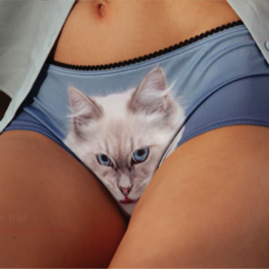 A person models Scepticat Knickers—blue underwear featuring a realistic cat face on the front. The midriff and upper thighs are visible beneath a partly open shirt, offering a playful touch from this concept store collection. Gate21.ee