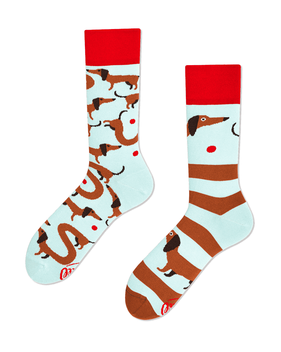 Sausage Dog: A stylish pair of light blue socks with red cuffs—one featuring brown sausage dog patterns and the other with stripes and sausage dog faces—a unique Tallinn gift shop find. Gate21.ee