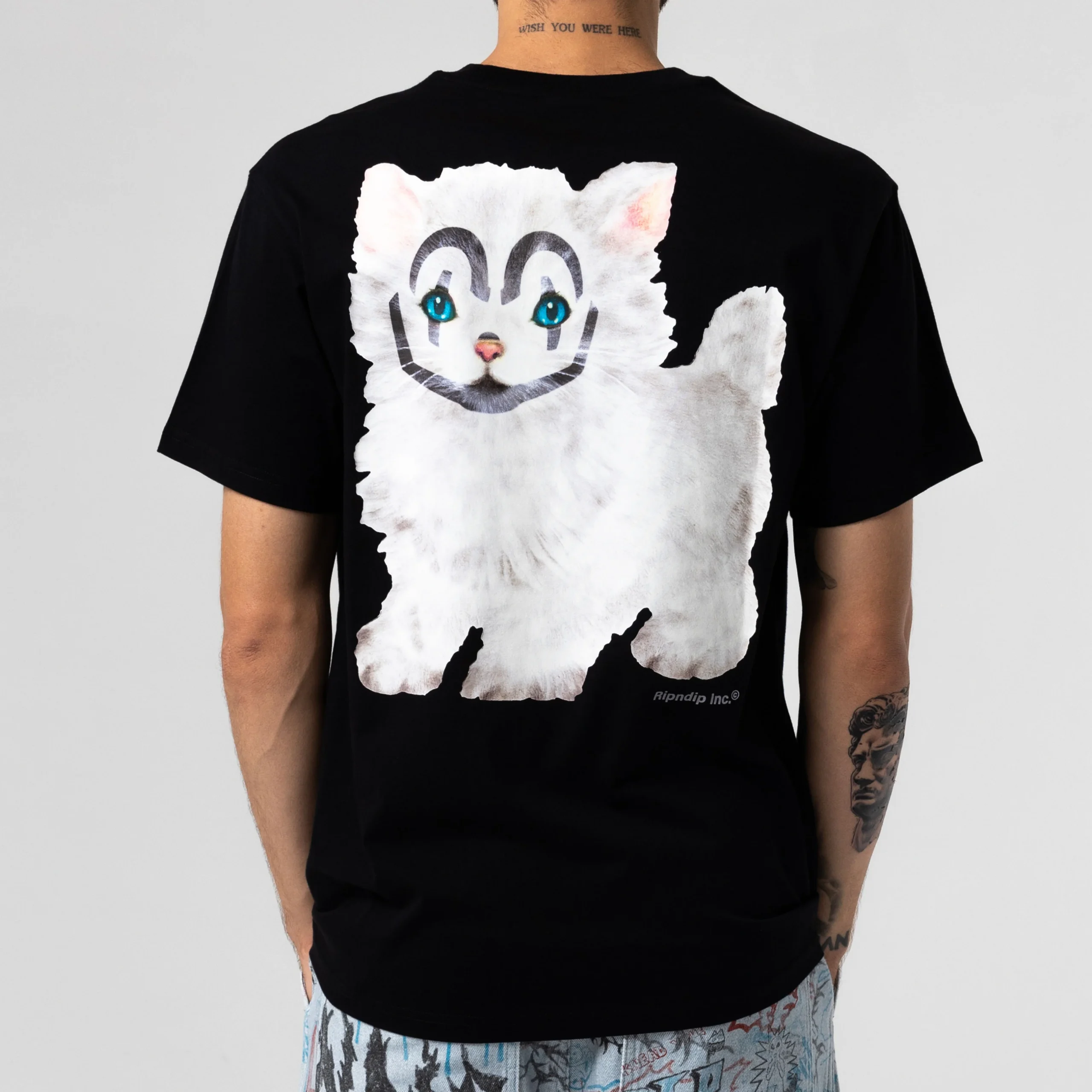 A person with tattoos and short hair is seen from the back, wearing a black "Pet me I’m cute T-shirt" featuring a bold illustration of a fluffy white cat with blue eyes and striking black facial markings. Gate21.ee