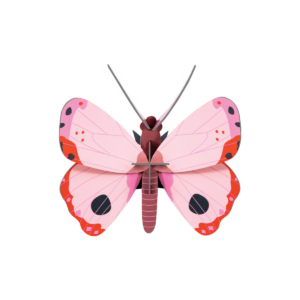 A Rosora Butterfly by StudioROOF, featuring pink wings with red and black accents and a brown body, is displayed against a plain white background. Gate21.ee